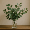Eucalyptus
